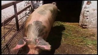 Szőke MILF perverz élvezete a pajtában és a mezőn Egon Kowalskival