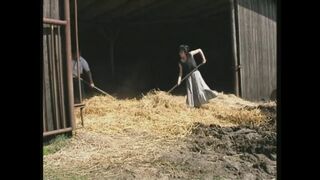 Dina Pearl, a tüzes milf térdre kényszerül a pajtában, és mohón veszi a szájába a vastag paraszti farkat.